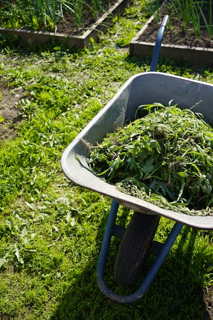 Penrhyn Road residents guide to garden rubbish removal
